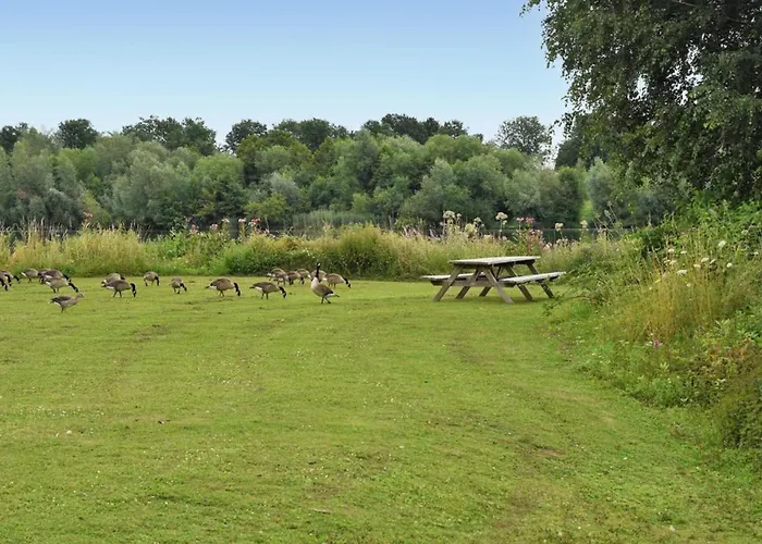 House Boat بوتيل